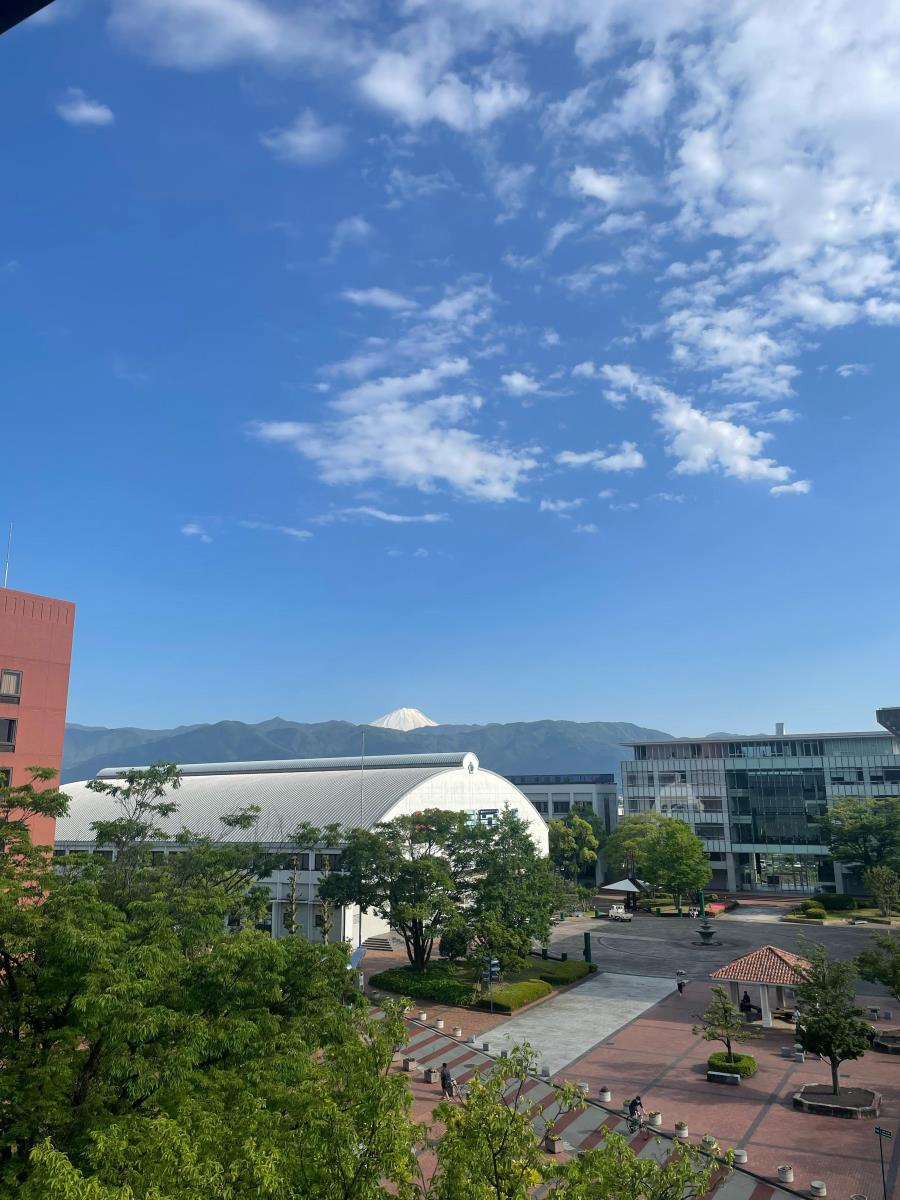 WhatsApp Image 2025-04-19 at 09.52.38.jpeg