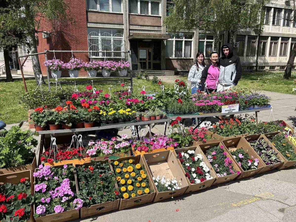 Festival cveća 6.jpg