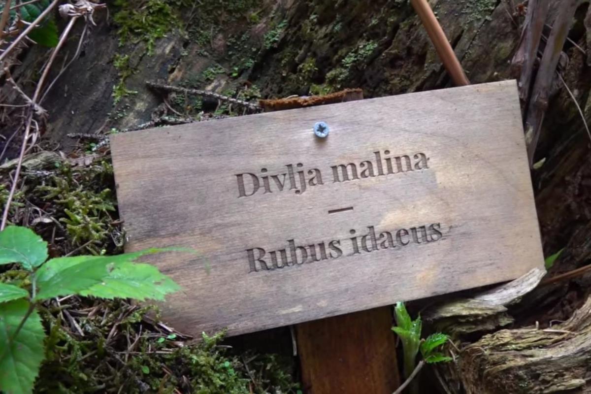 Zlatar - botaničke bašte .. (9).jpg