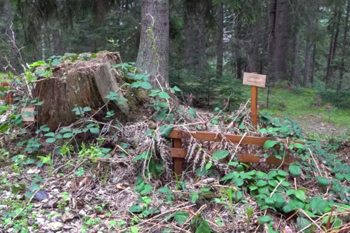 Zlatar - botaničke bašte .. (8).jpg