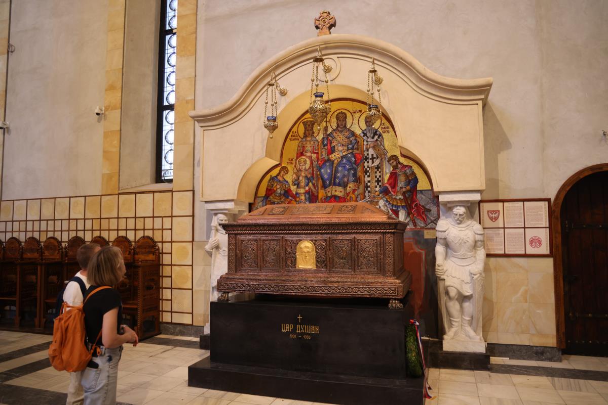 petar aleksic (4).JPG