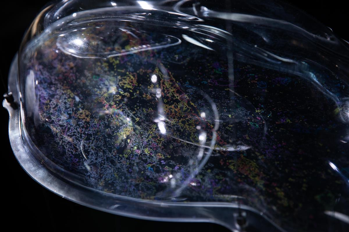 IMG_1956 foto Ivan Zupanc.jpg