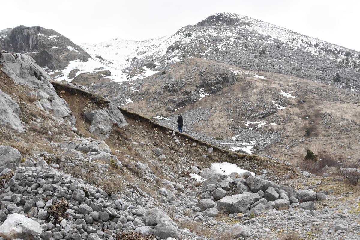 DSC_2758 foto Jovan Milošević.jpg