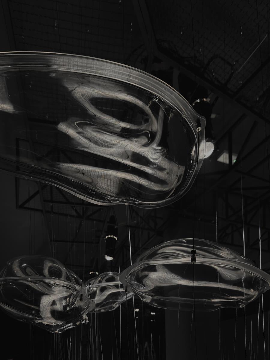 IMG_4383 foto Dejan Todorović.jpg