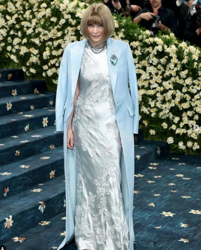 Ana Vintur na Met Gali