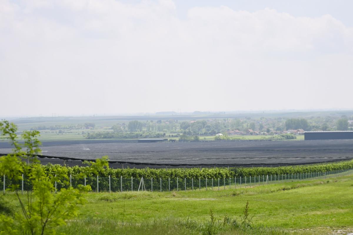 1803 marko karovic (5).jpg