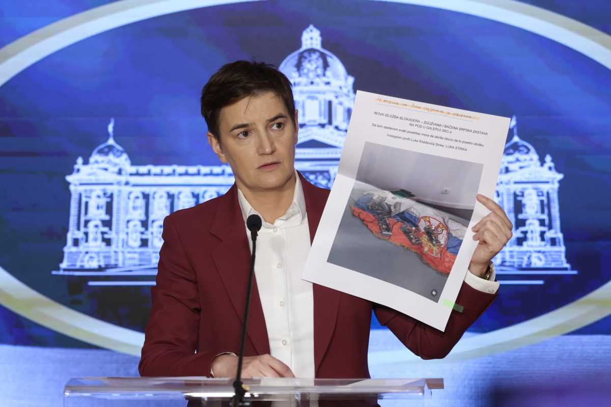 WhatsApp Image 2025-05-08 at 4.56.21 PM (2).jpeg