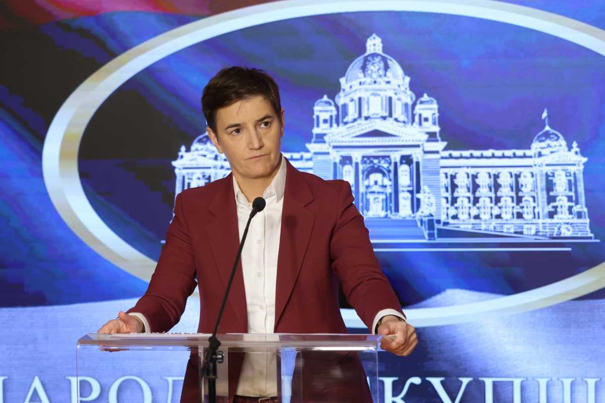 WhatsApp Image 2025-05-08 at 4.56.21 PM (1).jpeg