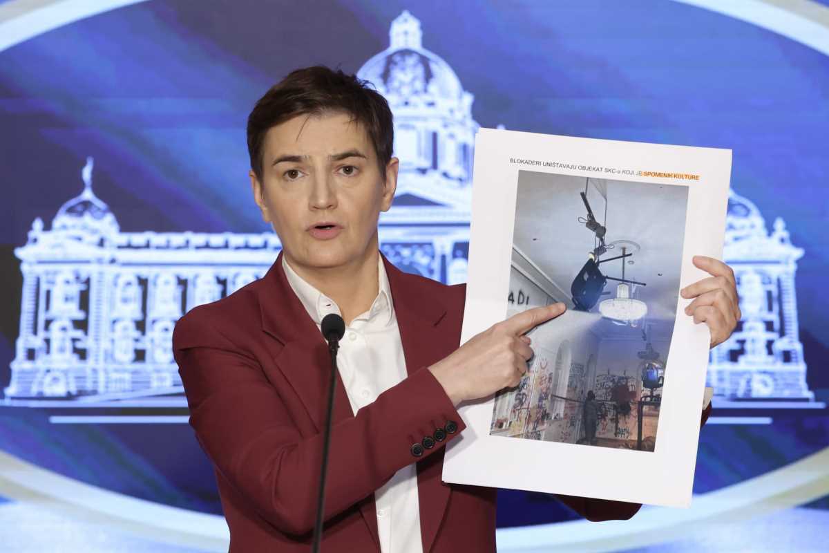 WhatsApp Image 2025-05-08 at 4.56.20 PM (3).jpeg