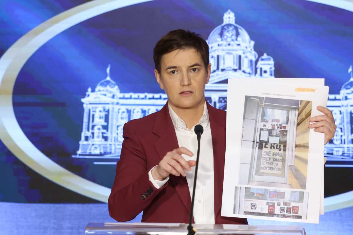 WhatsApp Image 2025-05-08 at 4.56.20 PM (1).jpeg