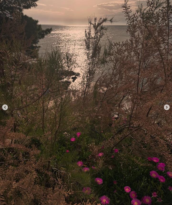 Miloš Biković 2.png