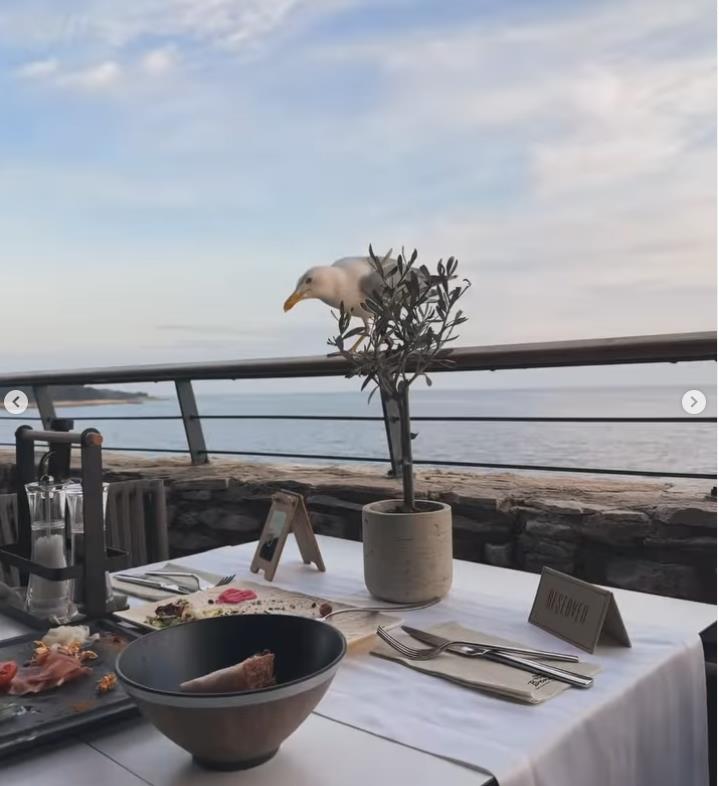 Miloš Biković 5.png