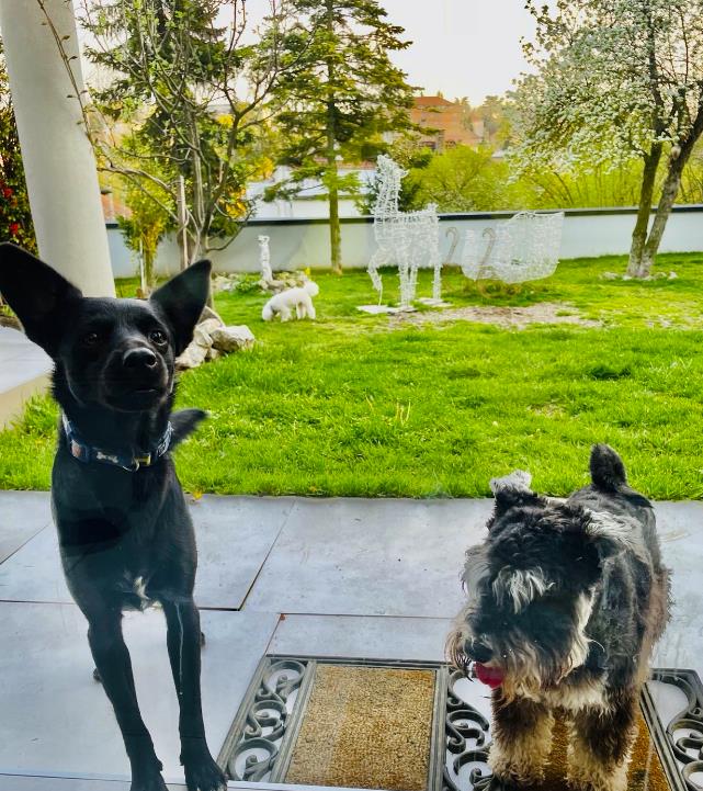 Screenshot 2025-05-10 102752.png