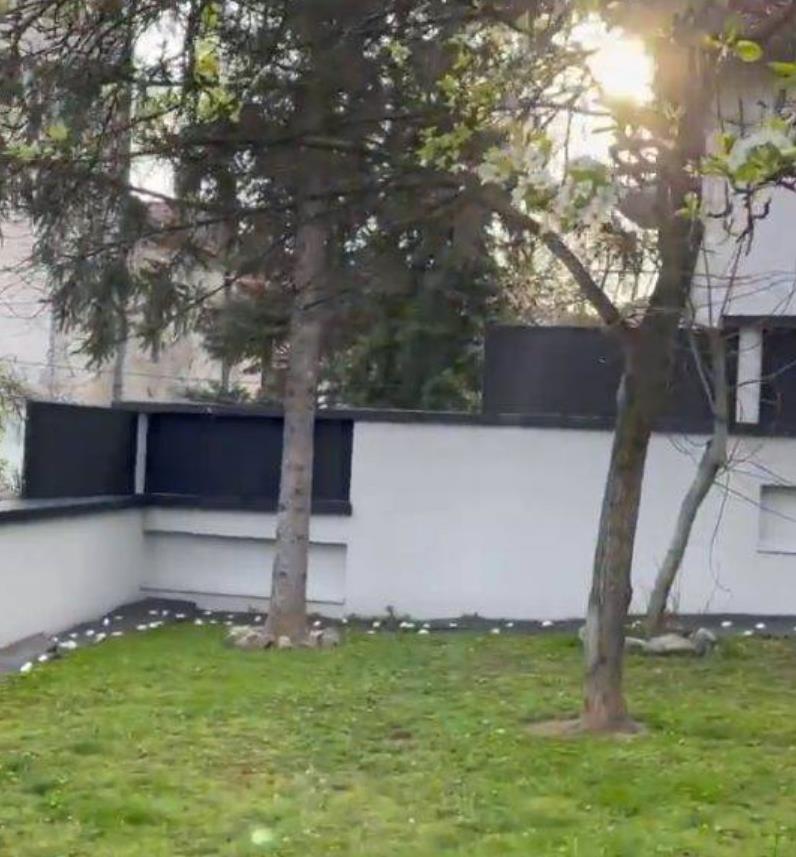 Screenshot 2025-05-10 102947.png