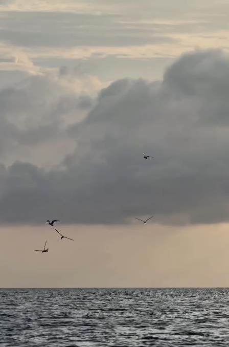 Screenshot 2025-05-10 130239.png