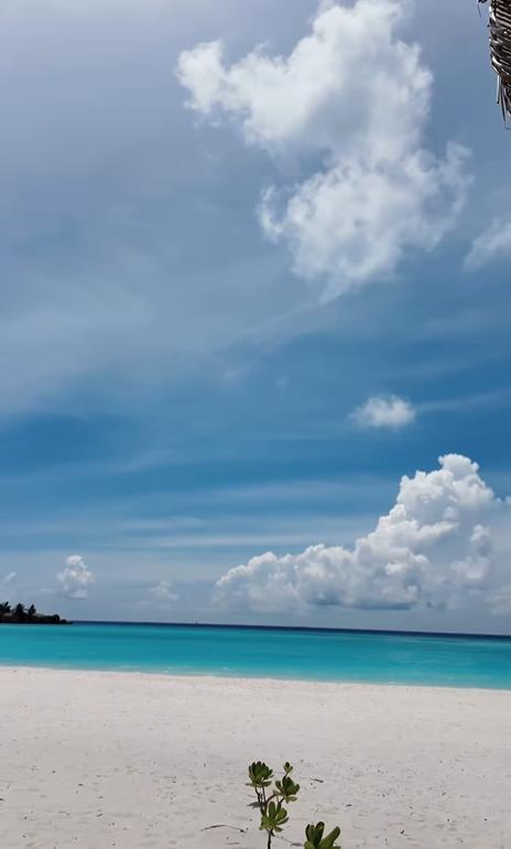 Screenshot 2025-05-10 130031.png