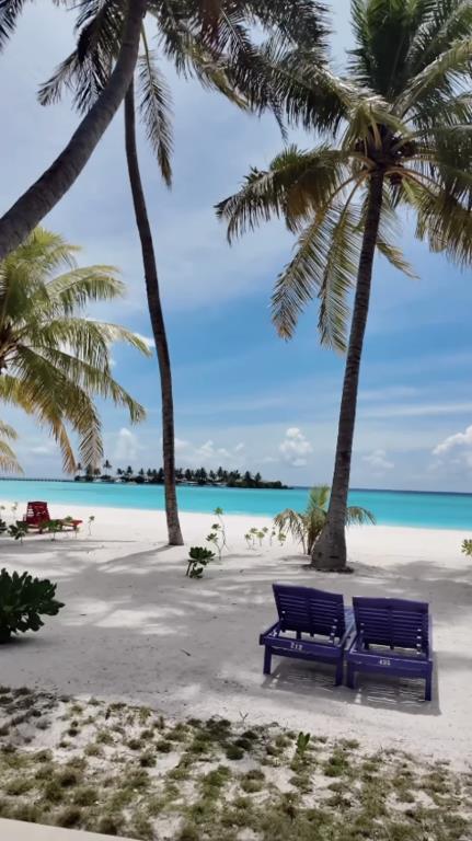 Screenshot 2025-05-10 125902.png