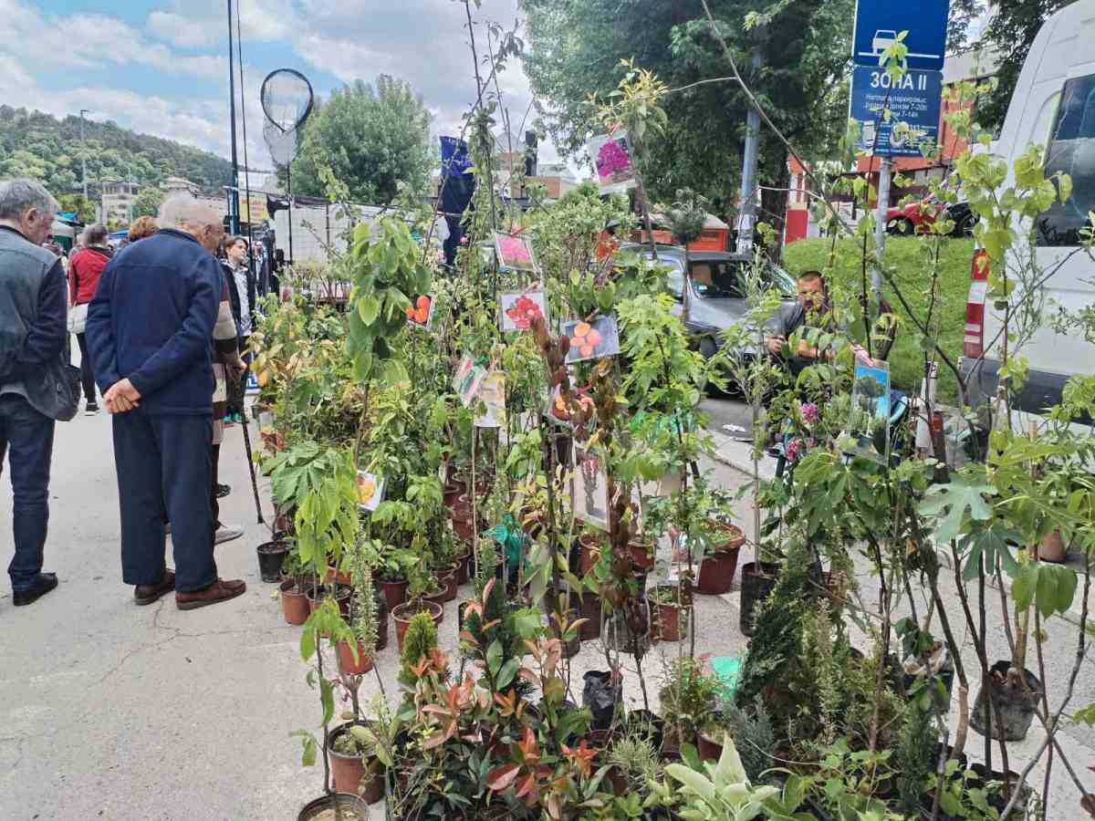 Užice - Đurđevski vašar 2025 (30).jpg