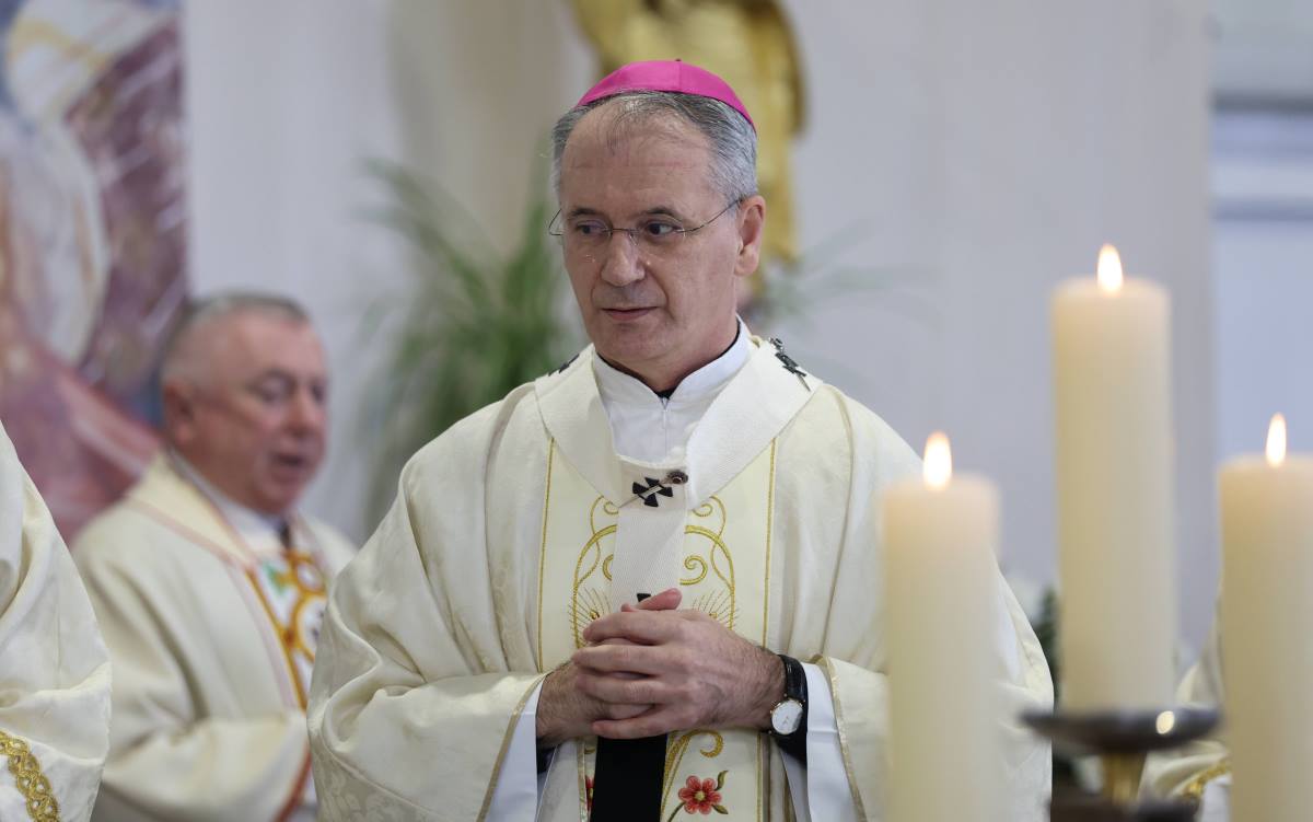 x Beta Damir Sencar.jpg