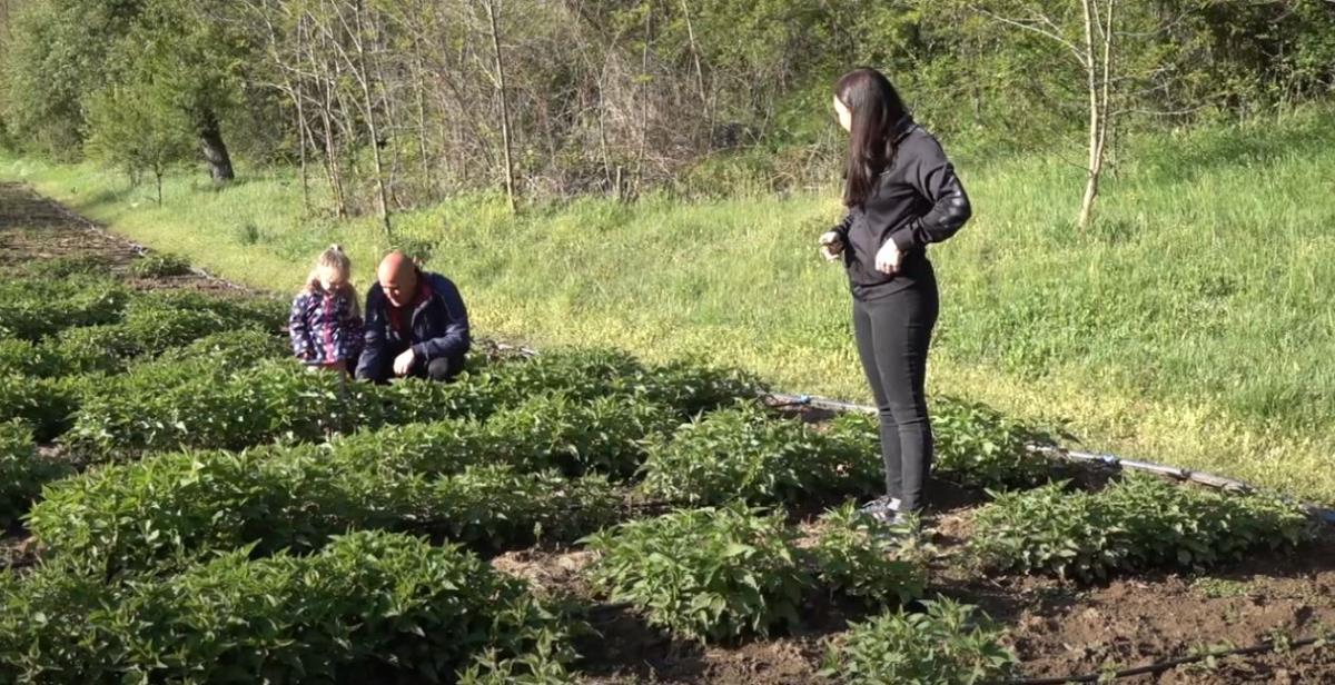 Slađana i Dejan Nikolić 3.jpg