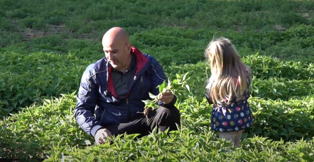 Slađana i Dejan Nikolić 4.jpg