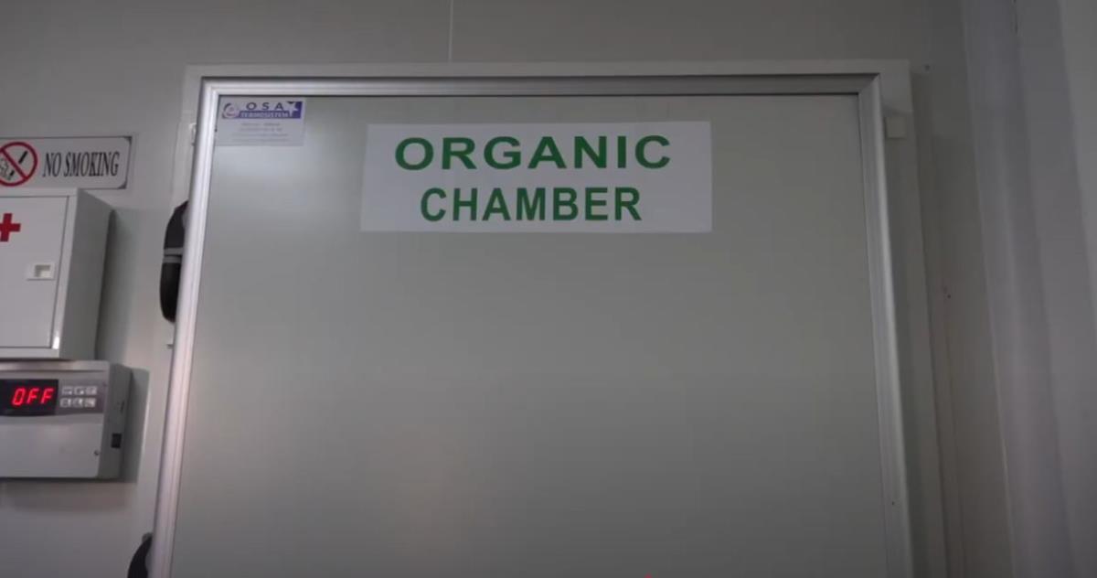 Slađana i Dejan Nikolić 11.jpg