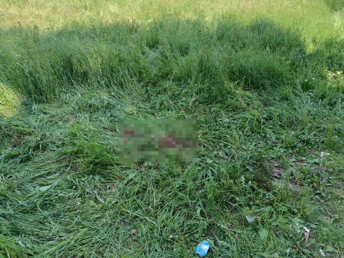 viber_image_2025-05-12_12-44-58-491 copy2.jpg