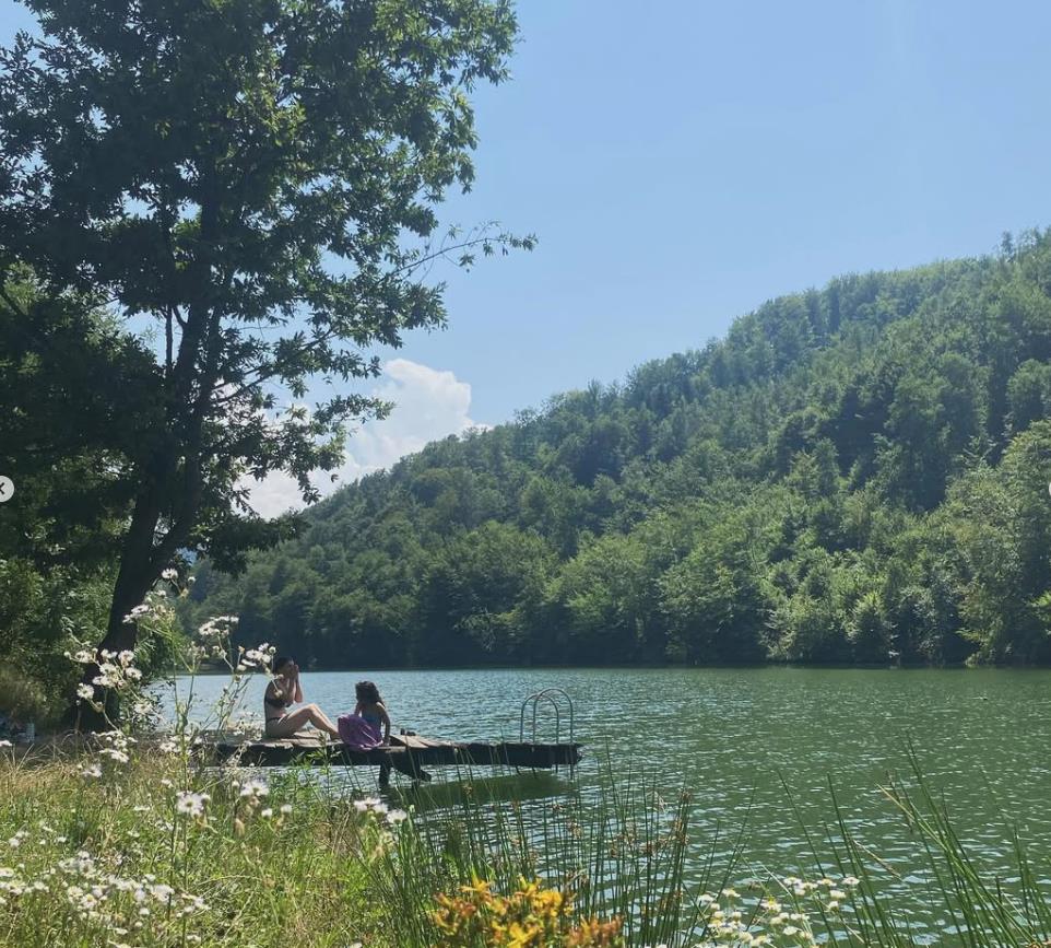 Screenshot 2025-05-13 120101.jpg