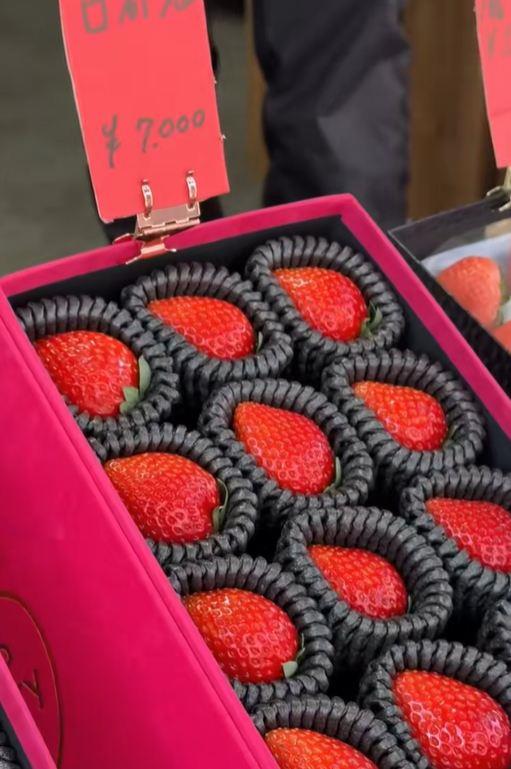 2025-05-13 13_26_03-(1)Janko (@stefan_jankovic) Official _ TikTok.jpg