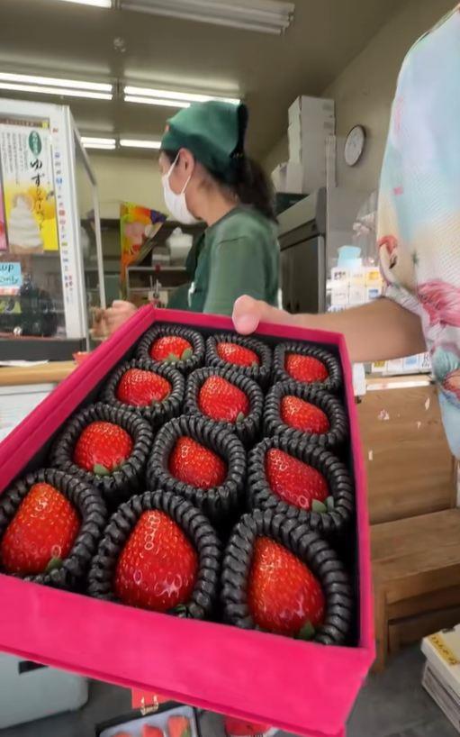 2025-05-13 13_26_19-(1)Janko (@stefan_jankovic) Official _ TikTok.jpg