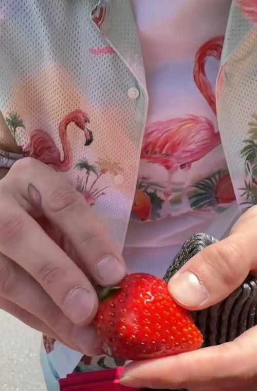 2025-05-13 13_26_52-(1)Janko (@stefan_jankovic) Official _ TikTok.jpg