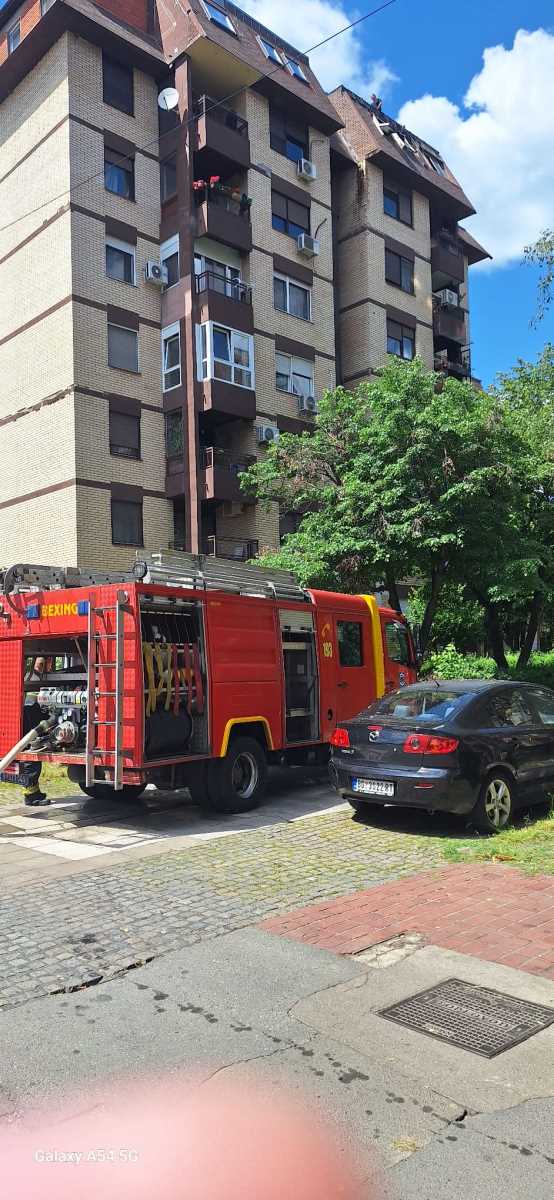 WhatsApp Image 2025-05-13 at 1.44.36 PM.jpeg