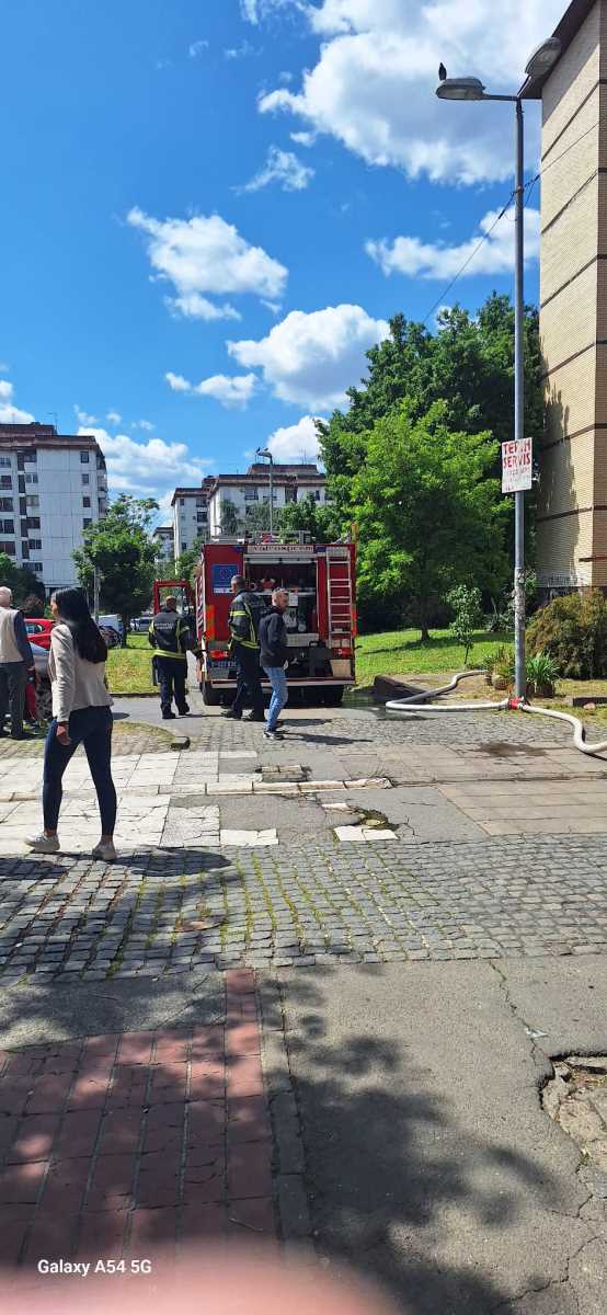 WhatsApp Image 2025-05-13 at 1.45.21 PM.jpeg