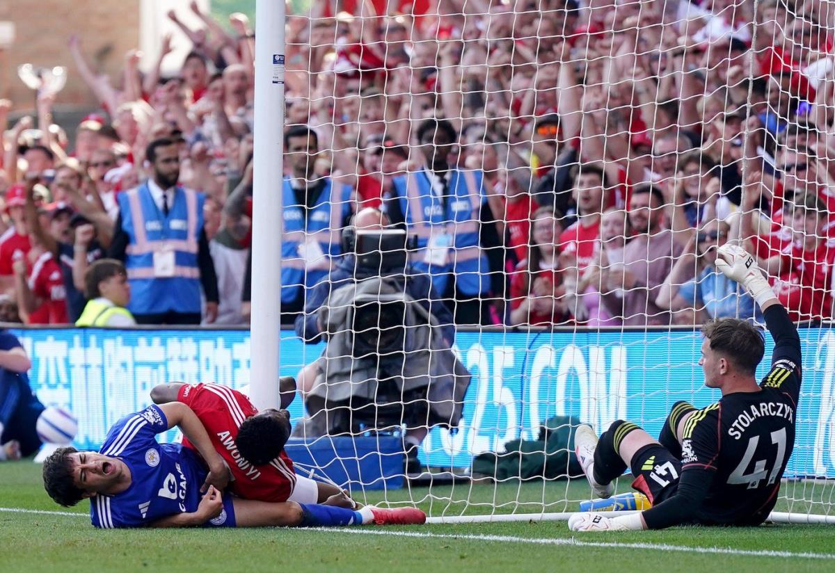 Saigrač srpskog reprezentativca se probudio iz kome