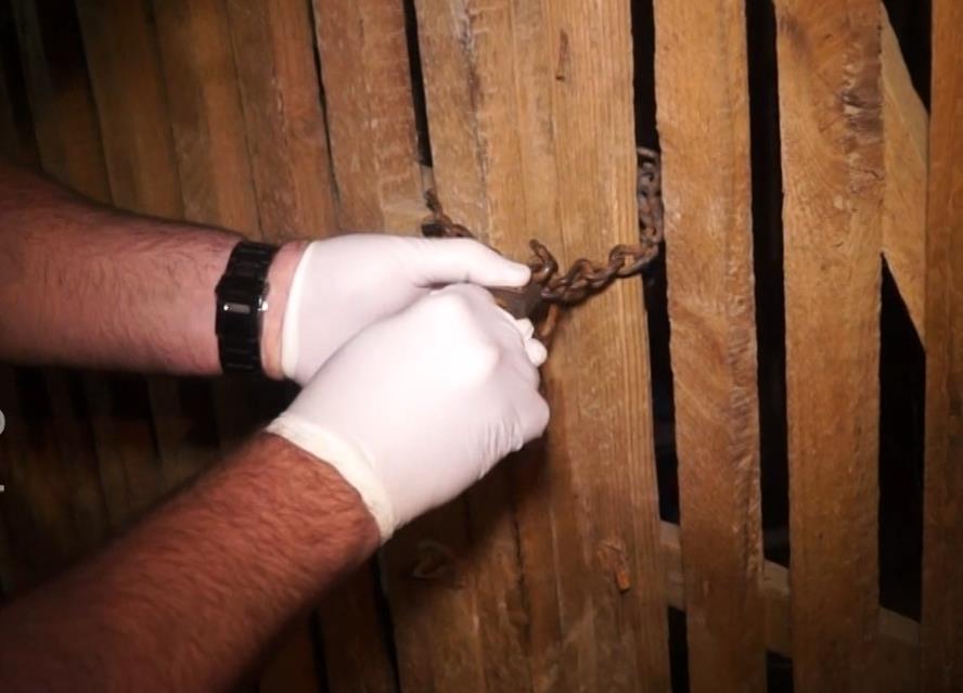 Screenshot 2025-05-14 152830.png