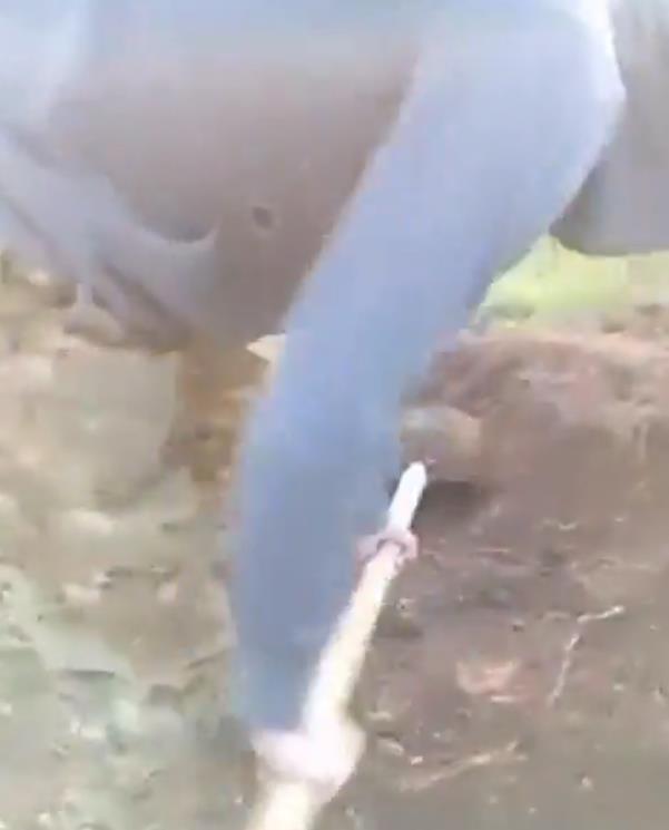 2025-05-15 07_18_38-WarTranslated on X_ _Punishment methods for “500th” among Russian troops continu.png