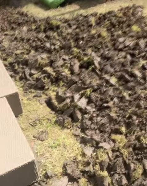 Radna akcija kod Nikole Rokvića