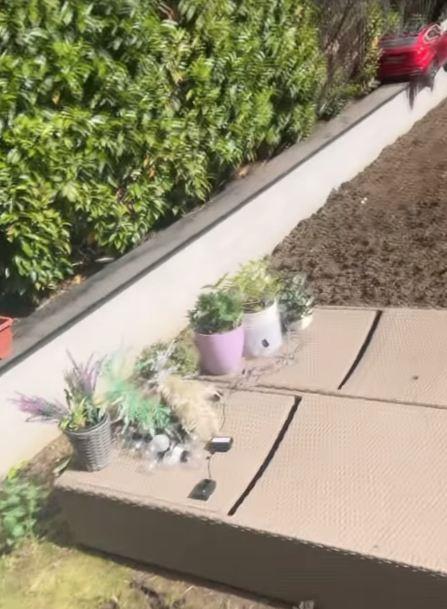 Radna akcija kod Nikole Rokvića