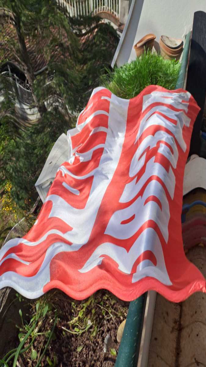 WhatsApp Image 2025-05-15 at 4.13.12 PM.jpeg