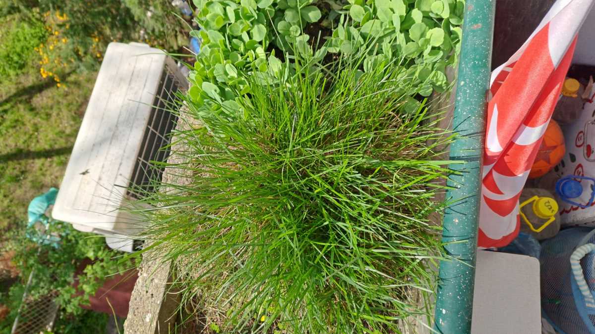 WhatsApp Image 2025-05-15 at 4.09.27 PM.jpeg