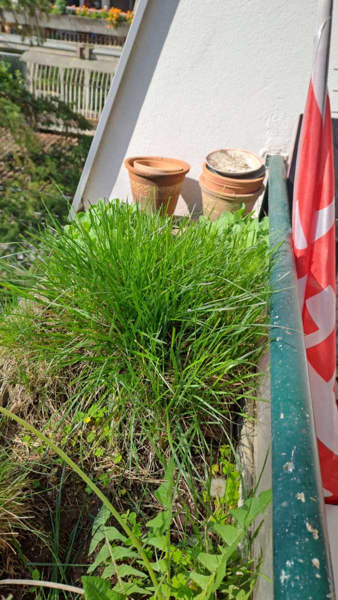 WhatsApp Image 2025-05-15 at 4.08.56 PM.jpeg