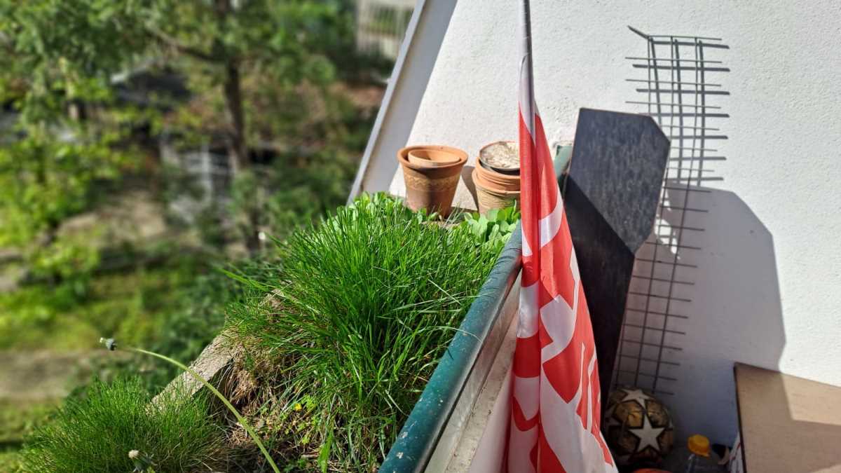 WhatsApp Image 2025-05-15 at 4.07.57 PM.jpeg