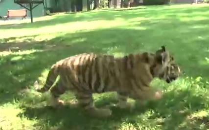 Screenshot 2025-05-15 210447.jpg