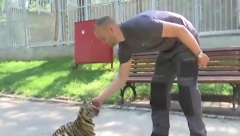 Screenshot 2025-05-15 210452.png