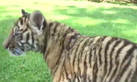 Screenshot 2025-05-15 210534.png