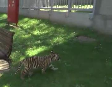 Screenshot 2025-05-15 210541.png