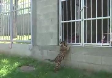 Screenshot 2025-05-15 210547.png