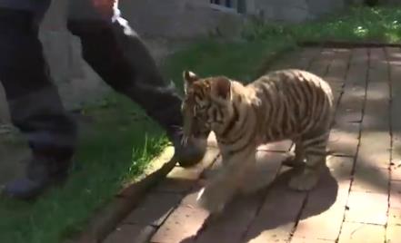 Screenshot 2025-05-15 210602.png