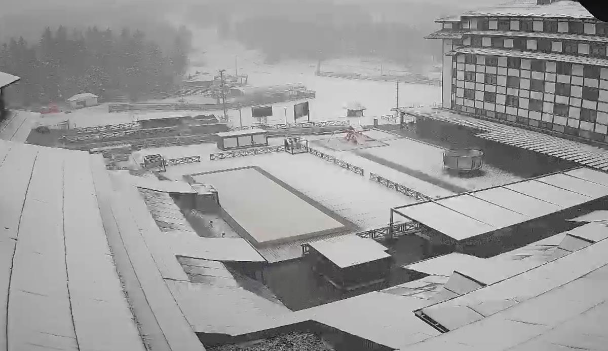 Screenshot 2025-05-16 082618.jpg