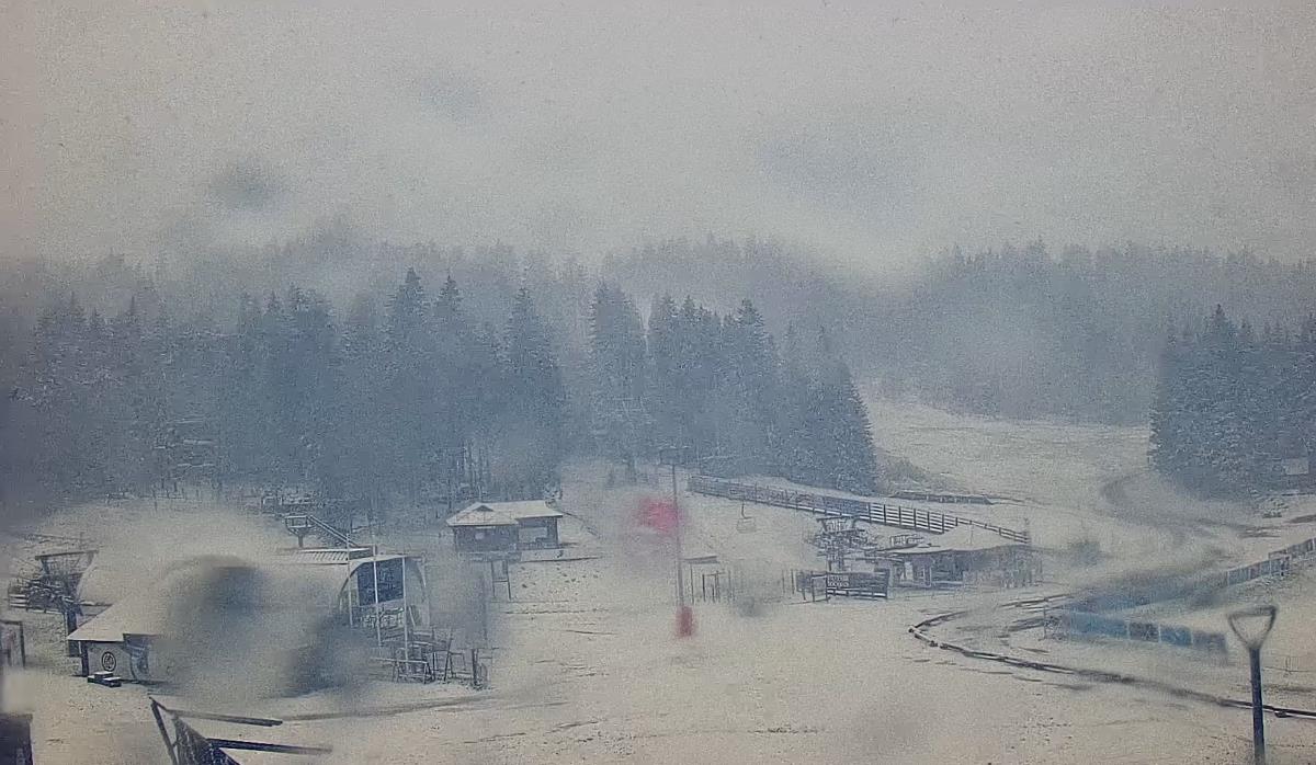 Screenshot 2025-05-16 082541.png